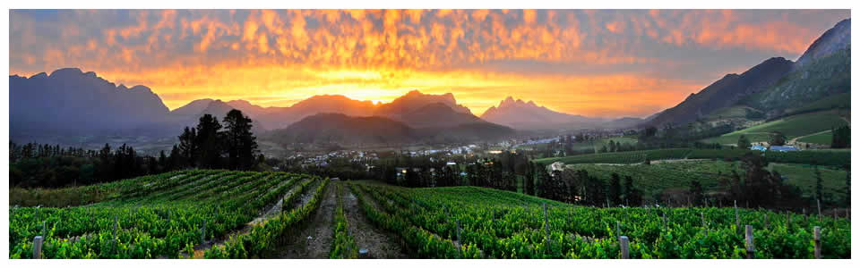 Franschhoek Wine Tours and Accommodation