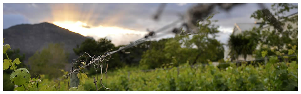Franschhoek Wine Tours and Accommodation